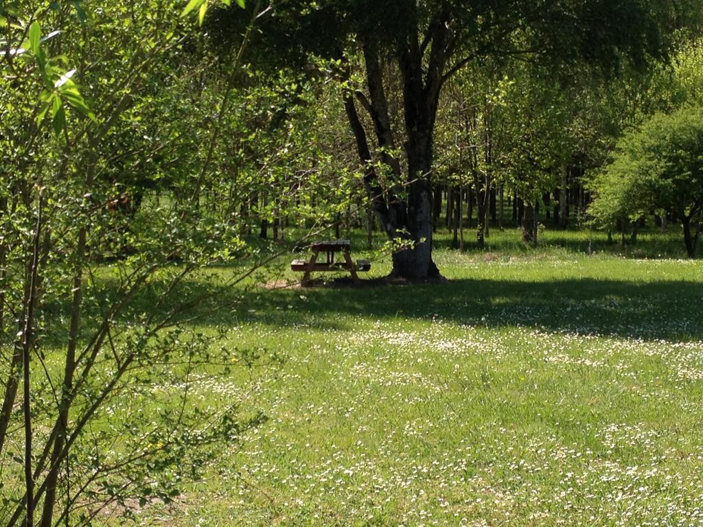 Avrillé-les-Ponceaux La Marelle B&B 객실 사진