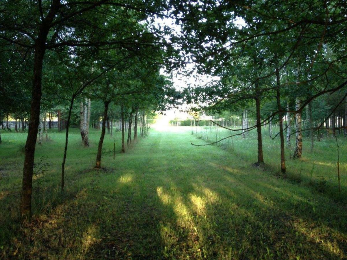 Avrillé-les-Ponceaux La Marelle B&B 외부 사진